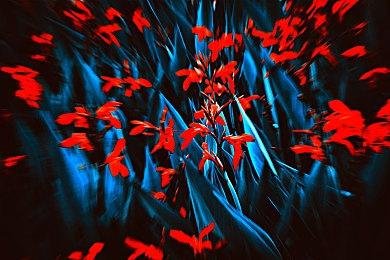 《我们之中》新地图The Fungle将于10月25日上线 蘑菇岛屿