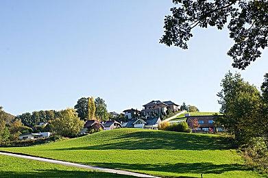 《森林之子》画质对比视频 最低画质惨不忍睹